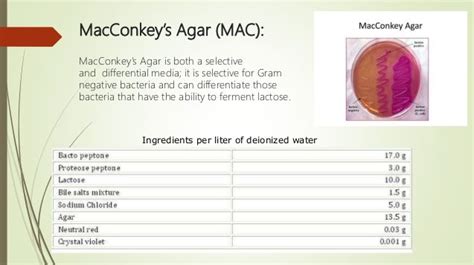 macconkey agar ingredients|Iba pa.